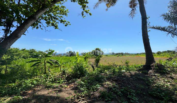 Ocean View Land  For Sale In Keramas Beach Walking Distance To The Beach  1