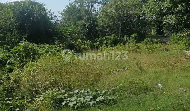 Land Nunggalan Leasehold Yellow Zone Land Nunggalan Leasehold Yellow Zone