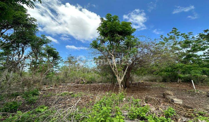 Beautiful Land For Sale Near Balangan  1