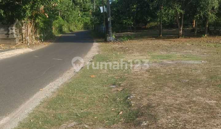 Land For Lease Prime Locationwalking Distance To Balangan Beach