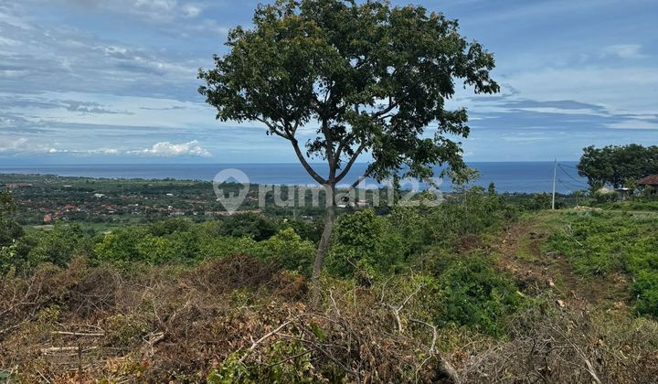 Tanah dengan Pemandangan Laut Menakjubkan di Lovina Terbaik untuk Investasi Tanah dengan Pemandangan Laut Menakjubkan di Lovina Terbaik untuk Investasi