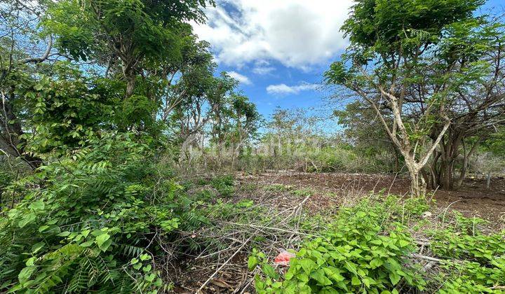 Beautiful Land For Sale Near Balangan  2