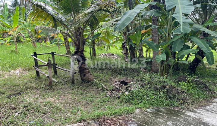 Walking Distance To The Beach 