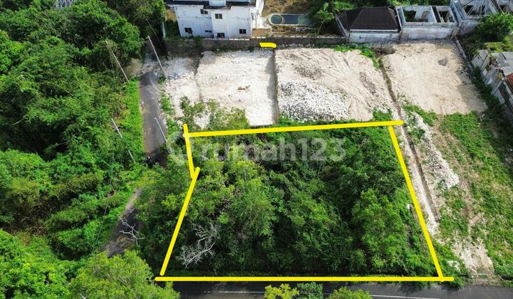 Pemandangan Hutan dan Laut yang Indah dari Atap di Dreamland