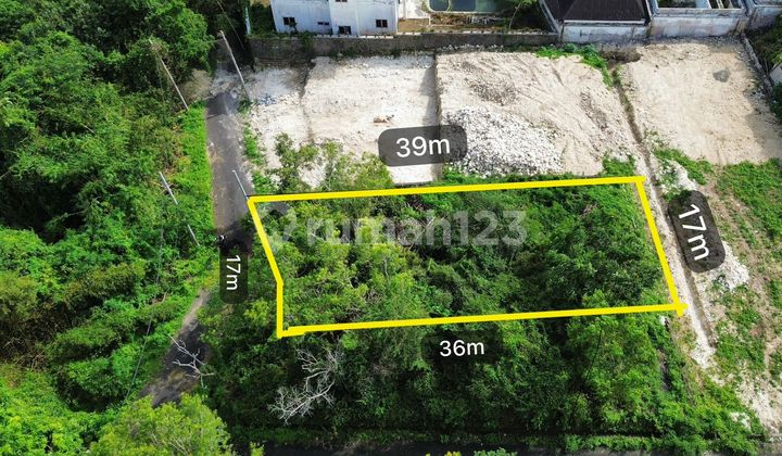 Beautiful Jungle View And Ocean View In Dream Land