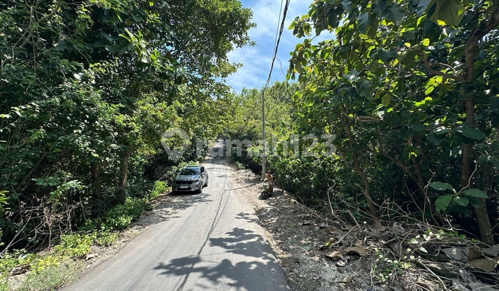 Tanah Indah di Kawasan Padang Padang Sangat Cantik Tanah Indah di Kawasan Padang Padang Sangat Cantik