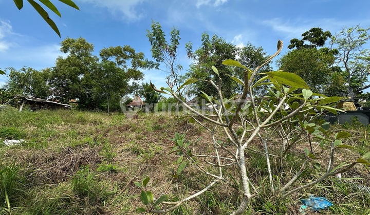 Tanah Indah di Kawasan Padang Padang Sangat Cantik Tanah Indah di Kawasan Padang Padang Sangat Cantik