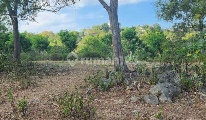 Ocean View Labuan Sait Land Near Bingin For Lease Ocean View Labuan Sait Land Near Bingin For Lease