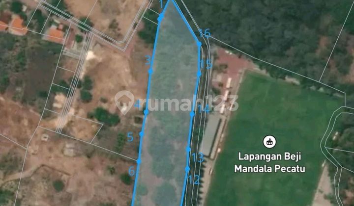 Pecatu Land Leasehold Jungle Area Pecatu Land Leasehold Jungle Area