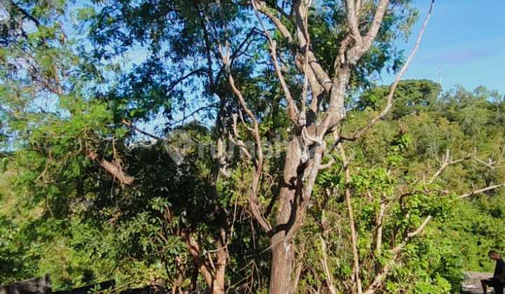 Ocean View Land In Goa Gong Jimbaran 10 Are 