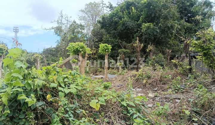 Pecatu Leasehold Land Pink Zone Near Bulgari Pecatu Leasehold Land Pink Zone Near Bulgari