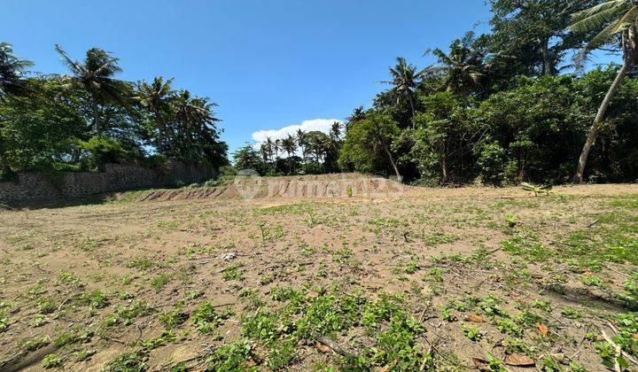 Ocean View Land  For Sale In Keramas Beach Walking Distance To The Beach  2