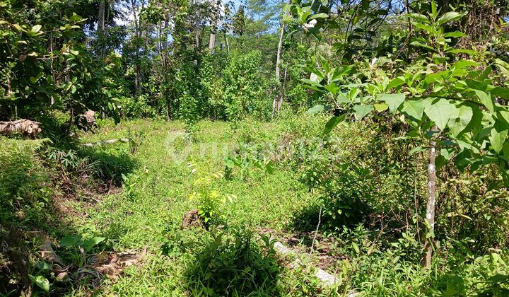 Tanah Cocok Unt Kavlingan Tengaran Dkt Pintu Tol Salatiga 2