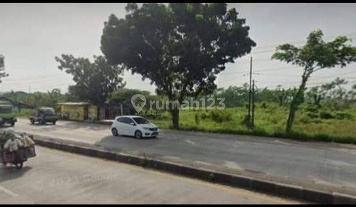Tanah Jalan Nasional Pantura Weleri Kendal Cocok Untuk Industri 1