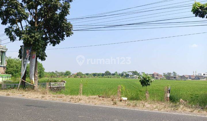 Tanah Sawah Nalumsari Jalan Raya Kudus Jepara 1