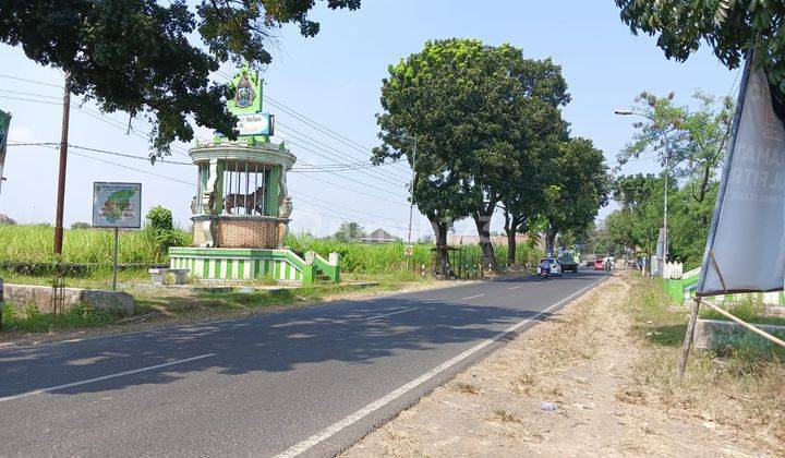 Tanah Sawah Nalumsari Jalan Raya Kudus Jepara 2