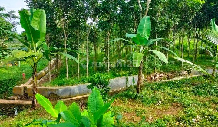 Tanah Murah Harga Bawah Njop Gunung Pati Semarang 2