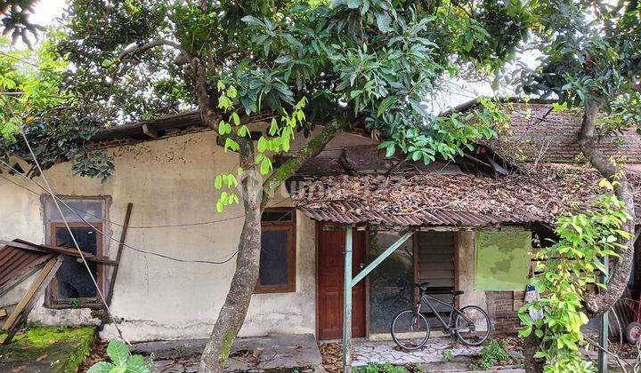 Rumah Tua Hitung Tanah Saja Sawunggaling Banyumanik 2