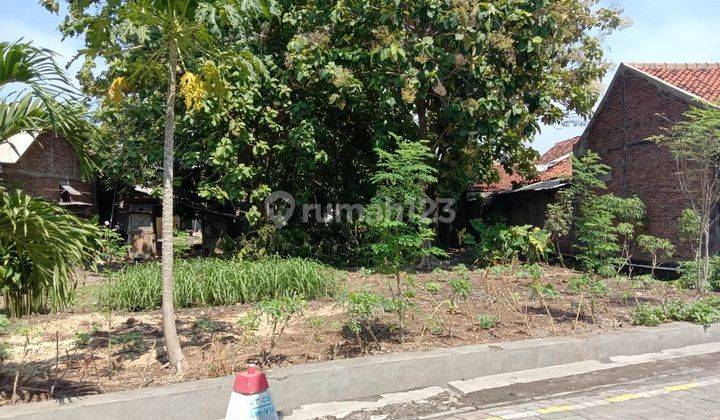 Tanah Dijual Belakang Horizon Jalan Majapahit Pedurungan 1