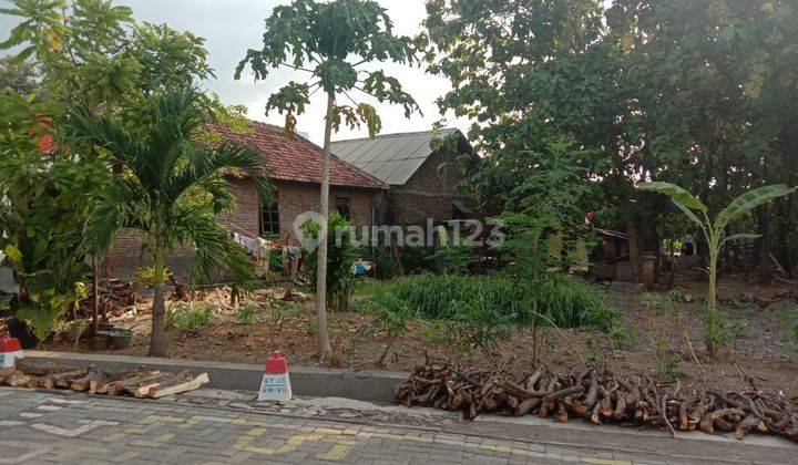 Tanah Dijual Belakang Horizon Jalan Majapahit Pedurungan 2