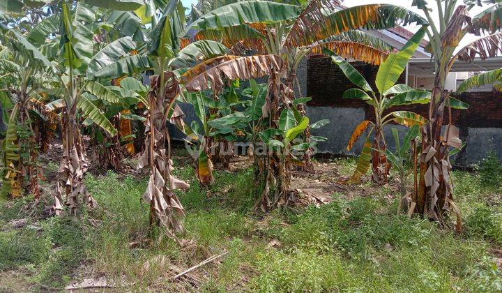 Tanah Hook Dalam Kompleks Perum Dolog Pedurugan Semarang 2