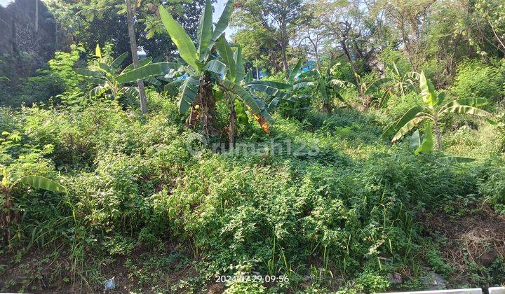 Tanah Kelud Sampangan Samping fakultas Kedokteran Unnes 2