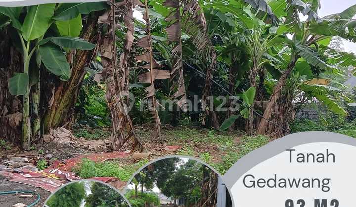 Kavling Siap Bangun di Gedawang Lingkungan Sudah Terbentuk dan Jadi Dekat Pasar Gedawang Kavling Siap Bangun di Gedawang Lingkungan Sudah Terbentuk dan Jadi Dekat Pasar Gedawang