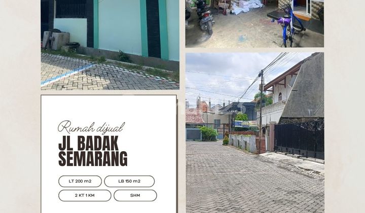 Rumah Strategis Jl. Badak Semarang - Dekat Simpang Lima 1