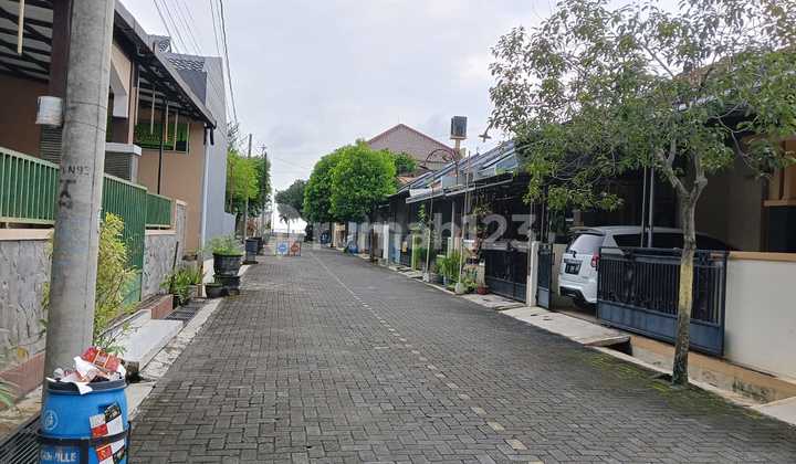 Rumah Minimalis Siap Huni Dalam Cluster - Mangunharjo Tembalang, Dekat Undip 2
