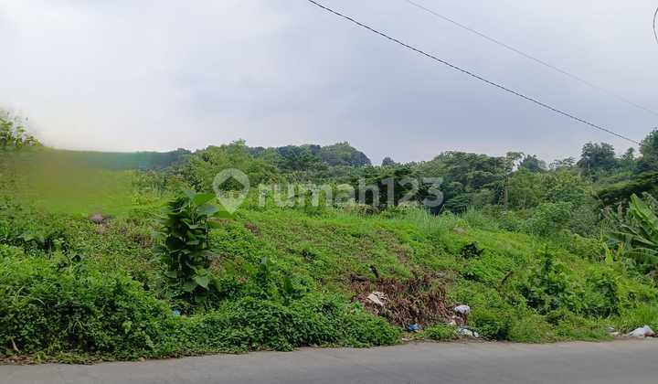 Sell and Rent Land in Mangunharjo Raya near Citra Grand and Bukit Kencana Jaya 1