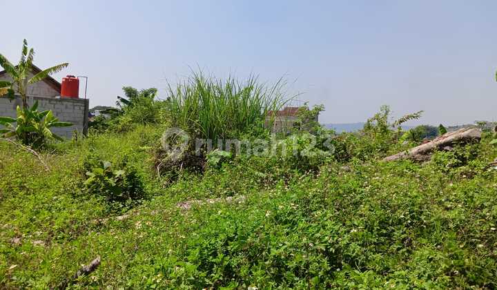 Tanah Sendangmulyo Cocok Untuk Hunian Ataupun Investasi Masa Depan 2