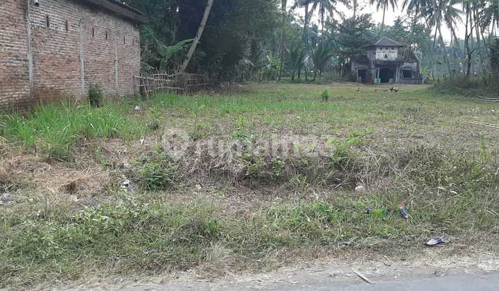 Tanah Cocok Untuk Investasi Kalinegoro Mertoyudan Magelang 2