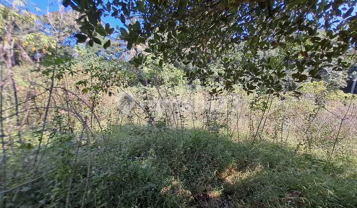 Tanah Potensialuntuk Perumahan atau Villa Kandri Gungung Pati 1