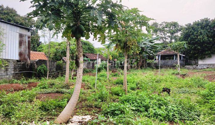 Tanah Tembalang Dekat Kampus Undip Cocok Untuk Kos / Kulineran 2