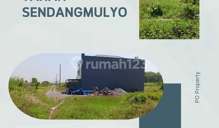 Tanah Sendangmulyo Cocok Untuk Hunian Ataupun Investasi Masa Depan 1