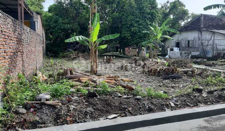 Tanah Siap Bangun Sendangguwo Kedungmundu Dekat Unimus dan Majapahit 2