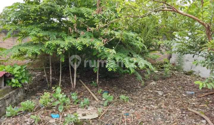 Tanah Strategis Kendeng Sampangan Lingkungan Hunian dan Kosk 2