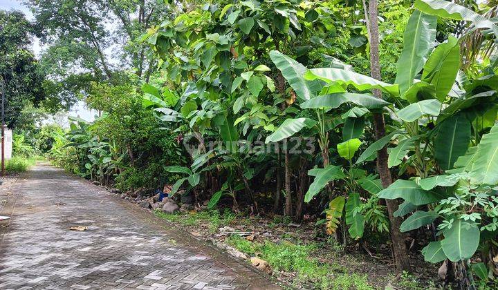 Tanah Tlogomulyo Cocok Untuk Kavlingan Atau Cluster 2