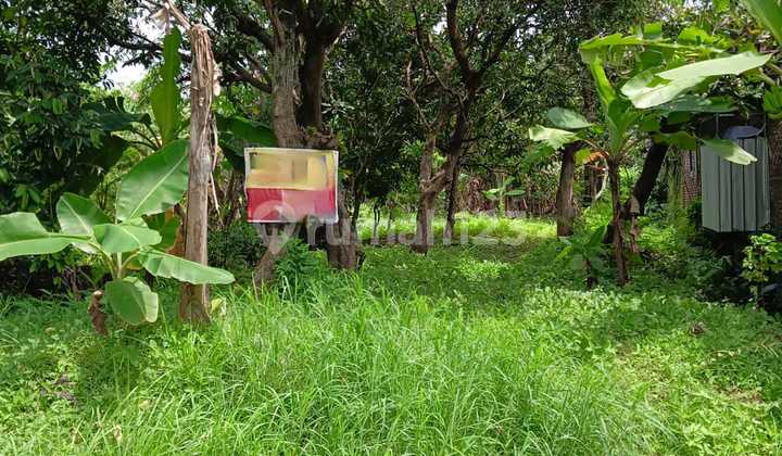 Tanah Gemah Kinijaya Dekat Unimus dan RS Primaya 2