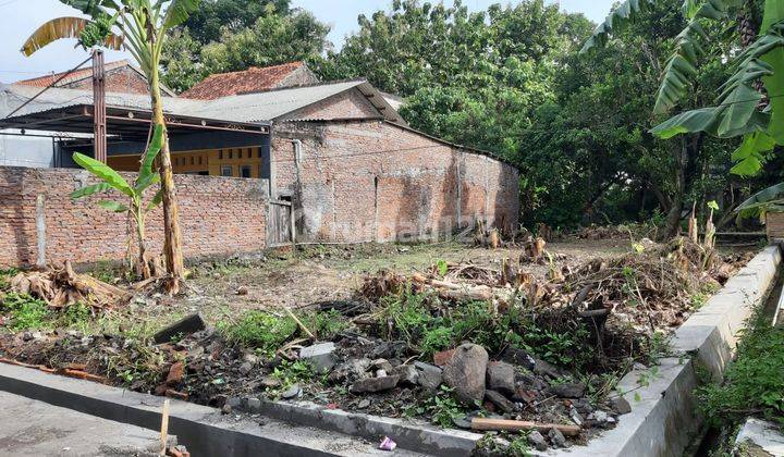 Tanah Siap Bangun Sendangguwo Kedungmundu Dekat Unimus dan Majapahit 1
