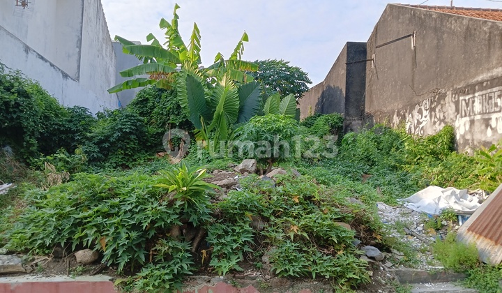 Tanah Tengah Kota Trengguli Mataram Cocok Untuk Kos Eksklusif 2