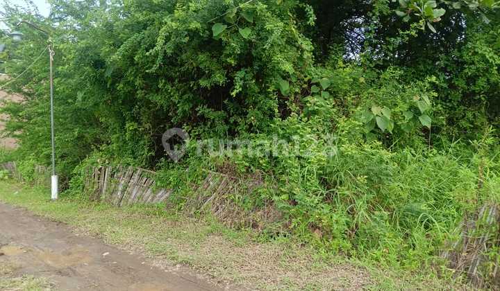 Tanah Siap Bangun Tlogobiru Depan Amni Pedurungan Semarang 2