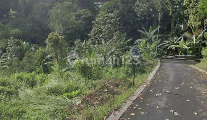 Ungasan Agricultural Land Suitable for or Investment in Agriculture / Plantation 2