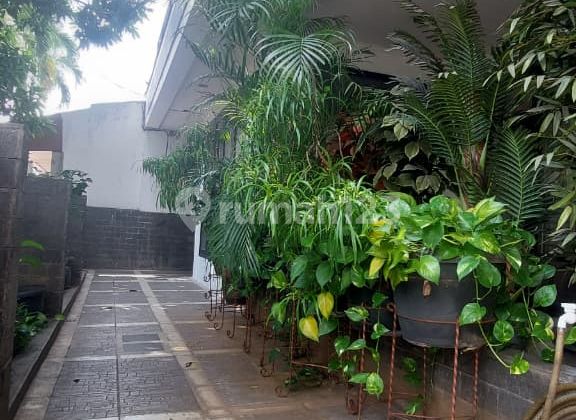 rumah hommy dilokasi strategis 2 lantai di Bintaro siap huni FJ0502 rumah hommy dilokasi strategis 2 lantai di Bintaro siap huni FJ0502