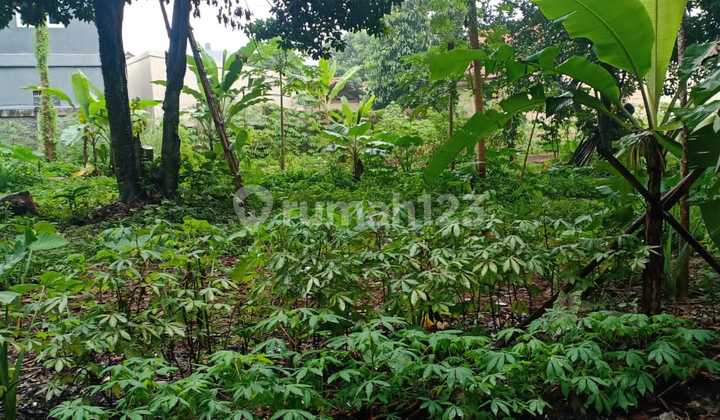 Ready-to-Build Wide Plot Suitable for Strategic Cluster in BSD