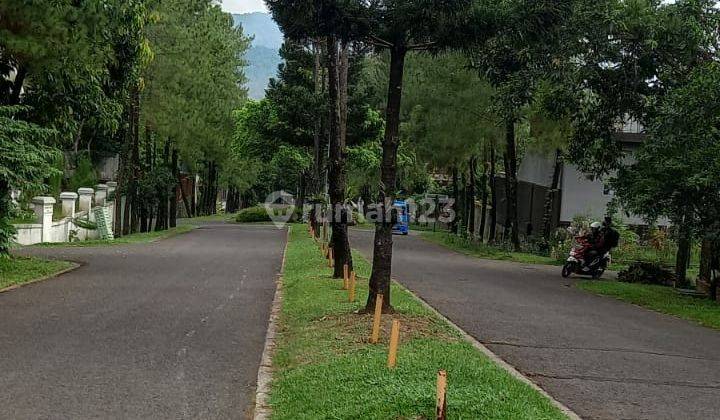 Rumah Tua di Kawasan Sentul City Babakan Madang Bogor  2