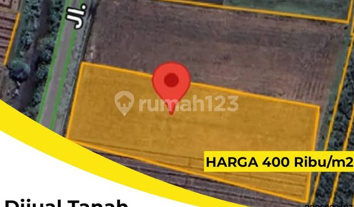 Dijual Tanah Watudakon, Kesamben, Jombang Lokasi strategis; 0 jalan raya kecamatan