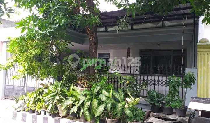 ‼️Dekat Upn & Merr‼️ Dijual Rumah Murah Lokasi Perum. Rungkut Menanggal Harapan Surabaya 2