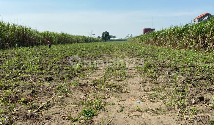 Jual Cepat Lahan Sawah Kecamatan Pesantren Kota Kediri