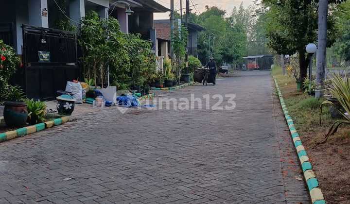 Fully Renovated, Quick Sale, Mutiara Citra Asri House Sidoarjo 2